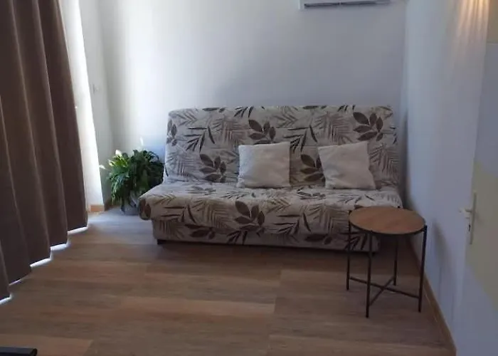 Bas De A 100 M De La דירה